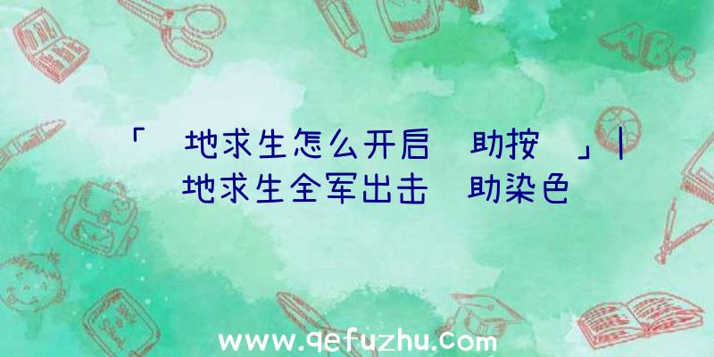 「绝地求生怎么开启辅助按键」|绝地求生全军出击辅助染色